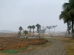 -空港花田景区