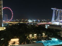 -新加坡文华东方酒店