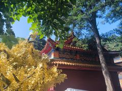 -青岩寺风景区