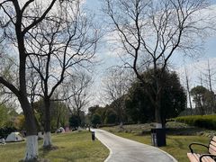 -九科绿洲
