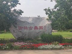 -御林古桑园