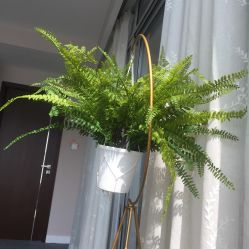 -汐月Health纤体spa中心