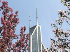 -人民公园-相亲角