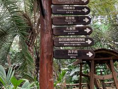 -呀路古热带植物园