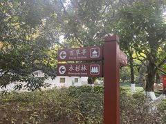 -瀛洲公园