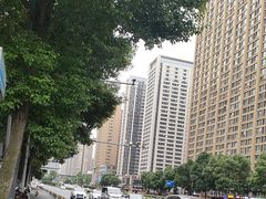 -成都南湖公园