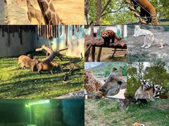 -泉州海丝野生动物世界