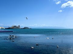 -青海湖国家重点风景名胜区