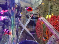 -沈阳海洋探索中心