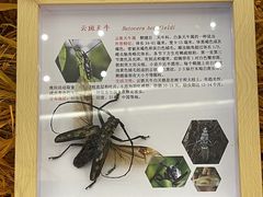 -义乌之心城市生活广场