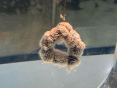 -横琴湾水世界
