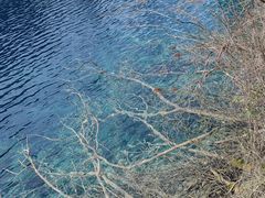 -乡土特色.冷锅鱼.牦牛肉汤锅