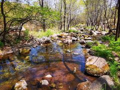 -玉渡山自然风景区