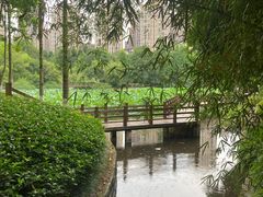 -龙头寺公园