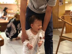 -柴务处·柴犬主题狗咖