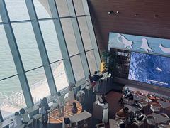 -抱抱地球咖啡馆(国家海洋博物馆店)