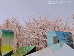 -龙美术馆(西岸馆)