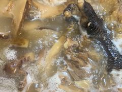 -蘑统田下·野生菌火锅