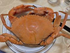 -老字号蛇口德记烧腊饭店·海鲜加工