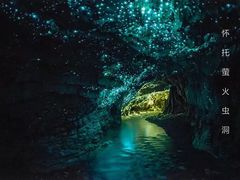 -怀托摩萤火虫洞