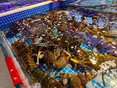 -驻海渔市(置信店)