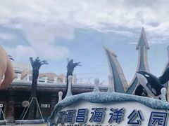 -上海海昌海洋公园