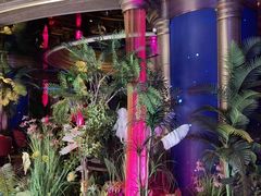 -温莎KTV(珠江路店)