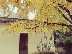 -长兴八都岕景区