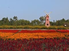 -同里国家湿地公园