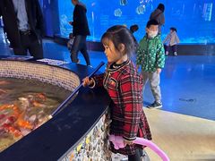 -烟台海昌鲸鲨海洋公园