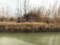 -泗洪洪泽湖湿地景区