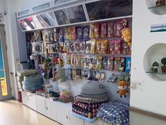 -瑞派宠物医院·内科·软组织·绝育中心(沈阳八纬路分院)
