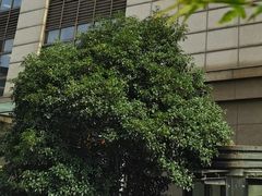 -西湖区图书馆(古墩路)