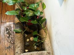 -阿木舂记·特色小吃(平江路店)