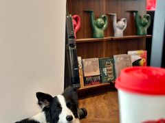 -72 COFFEE(东朝阳路店)