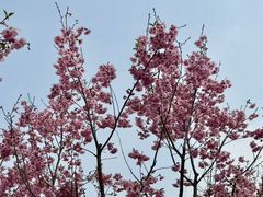 -梁鸿国家湿地公园