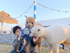 -Blue Concept Cafe&Farm·關於藍