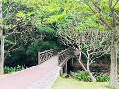 -金山公园