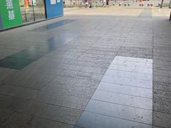 -杨柳河(地铁站)