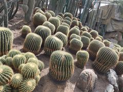 -南山植物园