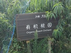 -扬州天乐湖嬉乐谷