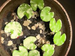 -曲水兰亭(北京四惠店)