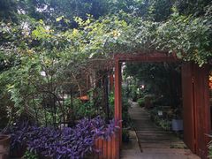 -谷咖啡·鲜花绿植花园餐厅