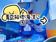 -海合安青岛极地海洋公园