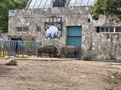 -无锡动物园·太湖欢乐园