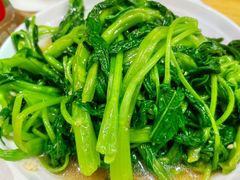 -广达眼镜炖罐(广达店)