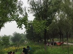 -绿堤公园