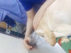 -康乐宝动物医院