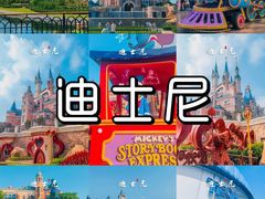 -上海迪士尼度假区