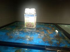 -盒马鲜生(馥邦国际店)